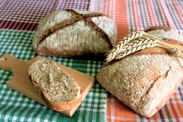 bread and wheat