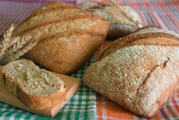 bread and wheat