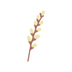 Hand drawn colorful floral element, willow twig isolated on a white background. Illustration in a simple flat style. It can be used for decoration of textile, paper and other surfaces.