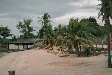 tropical resort with palm trees