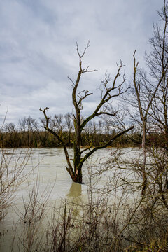 Crue d'une rivi&egrave;re