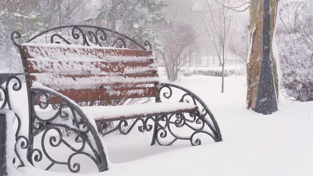 winter city park, benches in the snow and snowfall