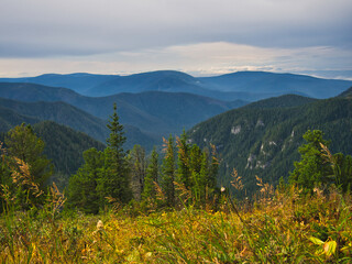 Siberian forests, Khamar-Daban ridge, Russia