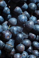fresh plum fruits in a basket close-up, background of blue berries, juicy purple fruits in sunny weather on the market
