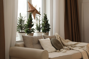 Sofa near window with small fir trees in room. Interior design