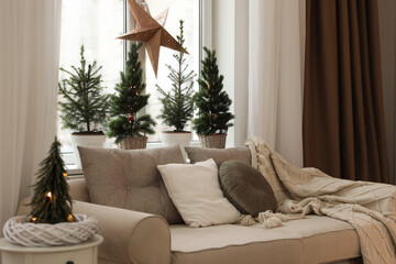 Fototapeta premium Sofa near window with small fir trees in room. Interior design