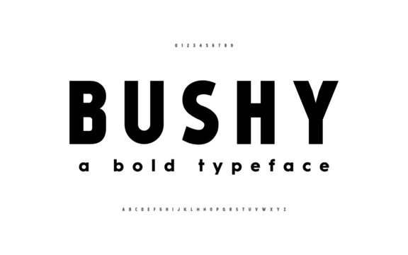 Alphabet font set design. Vector illustration typography grunge style. Fonts design.