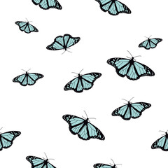 Vector butterflies pattern