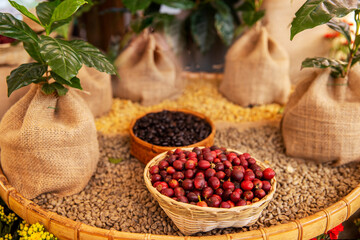 Red coffee beans and Assorted beans in bowls on wood background.