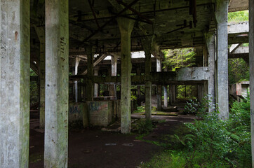 alte Ruinen und mauern im Wald