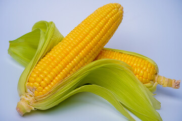 Fresh corn or maize isolated in white background