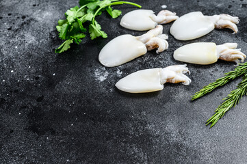 Fresh raw cuttlefish with rosemary and parsley. Black background. Top view. Copy space