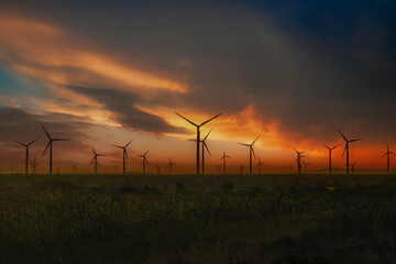 Fototapeta na wymiar Sunset view of wind power plant. Vast turbine wind mills farm at jhimpir