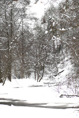 Wonderful white winter landscape with frozen river and trees covered by snow after big snowfall, vertical