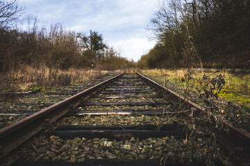 Nature moments in Hungarian country