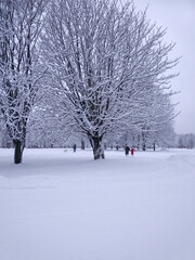 person walking in snow