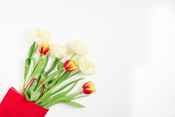 Red and yellow tulips in a red gift bag on a white background with copying space. Valentine's Day or Mother's Day Greeting Card