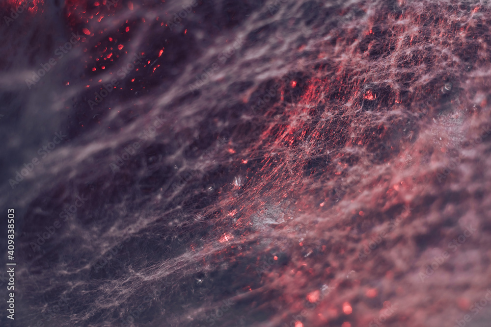 Aufkleber Beautiful abstract  red texture web. Background pattern for design. Macro photography view.
