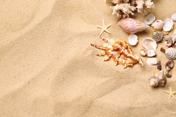 Fototapeta na wymiar Beautiful seashells, coral and starfishes on beach sand, flat lay with space for text. Summer vacation