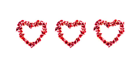 Flower petals hearts isolated on white. Love background. Three romantic heart shapes made of tulip petals.