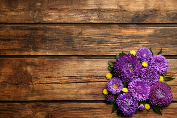 Beautiful asters and space for text on wooden background, flat lay. Autumn flowers