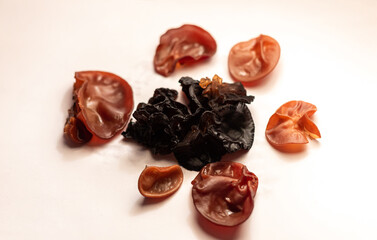 Exidia glandulosa mushroom and Jew's ear mushroom on white paper