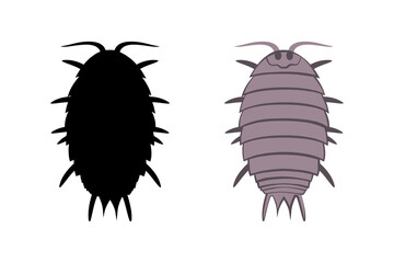 Vector drawing wood lice isolated on a white background
