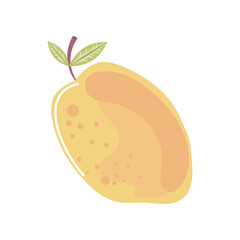 mango fresh fruit icon isolated style