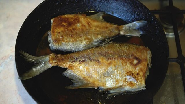 Food photography of a snapper fish being cooked in a non stick fry pan on a stove in a kitchen setting. freshwater fish fried in a pan.
