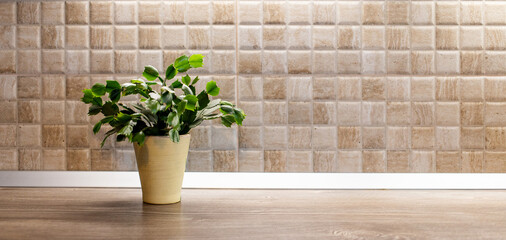 flower pot on wooden desk space and tiles home background