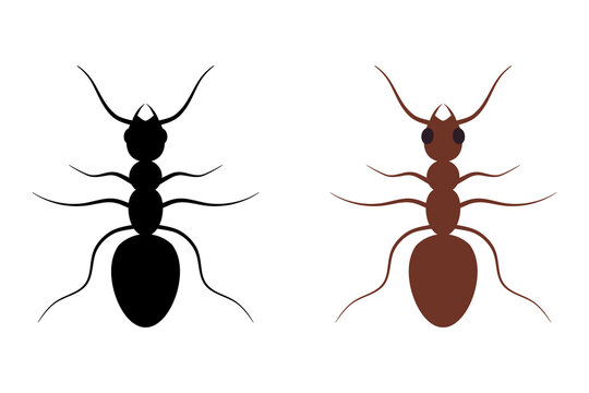 Ant. Silhouette. Illustrations on white isolated background