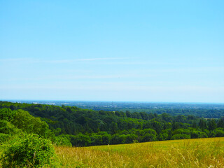 Farmland, trees and the sky