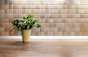 flower pot on wooden desk space and tiles home background