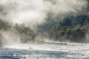 Foto auf Leinwand Morning fog over a river in a a rain forest in the north of Patagonia © Chris