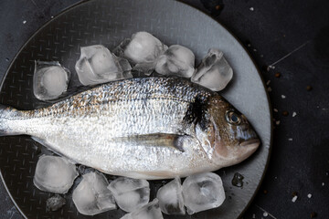 Raw dorado or bream on ice. Mediterranean cuisine, seafood, healthy eating.
