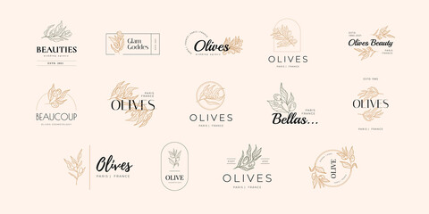 Olive oil Vector Signs or Logo Templates. Retro Floral Illustration with Classy Typography. Feminine Logo. Modern Logo Template for florist, photographer, fashion blogger, design studio.