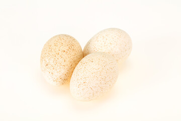 Three big raw turkey egg