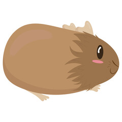 cute fluffy brown guinea pig, side view, cute domestic rodent, vector illustration in flat style