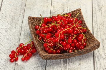 Sweet tasty fresh Red currant