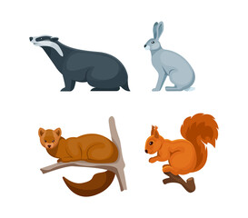 Woodland forest animals. Cute wild forest animals badger, hare, squirrel, sable