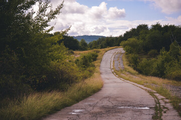 a road in the wild crossing the field near the forest in summer season on sunny day
