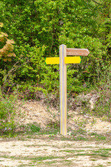 Panneau indicateur en forêt 