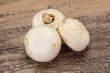 Raw Champignon heap for cooking