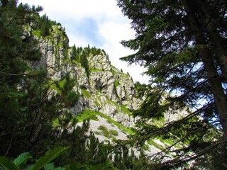 Rock wall bellow Ratitovec with a scree bellow in Slovenia