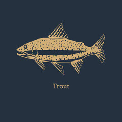 Trout illustration in vector. Logo for packaging.