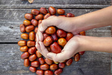 fresh jojoba fruit on a wooden table