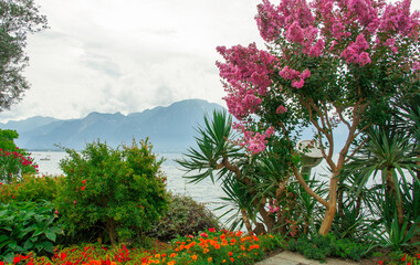 Montreux town on Geneva Lake in summer, Swiss Riviera