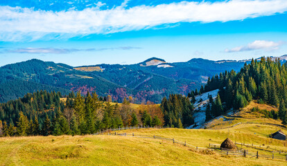 Beautiful forests covering the Carpathian mountains and a small village