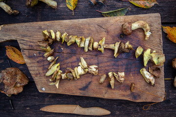 preparation of fresh mushrooms for drying
