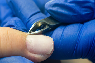 Manicure process, the manicurist with the help of nippers removes the dead skin around the client's fingers